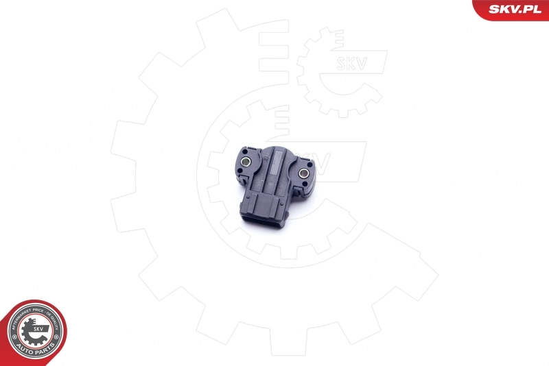 Sensor, throttle position 17SKV011