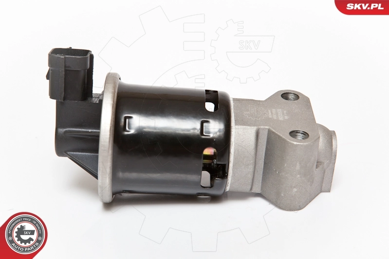 EGR Valve 14SKV059