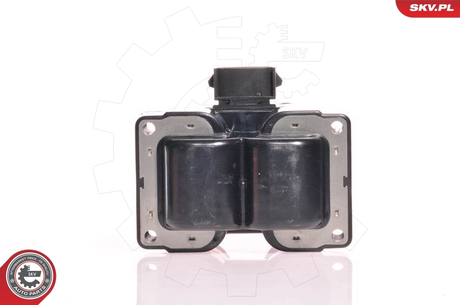 Ignition Coil 03SKV012