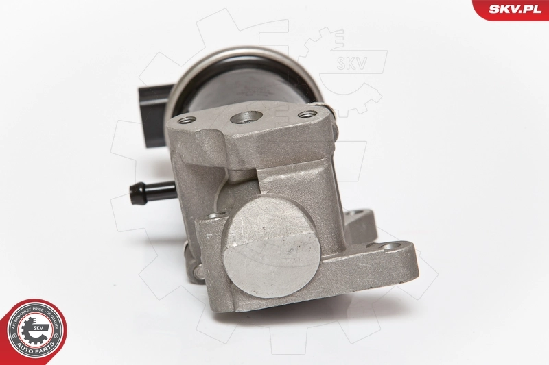 EGR Valve 14SKV074