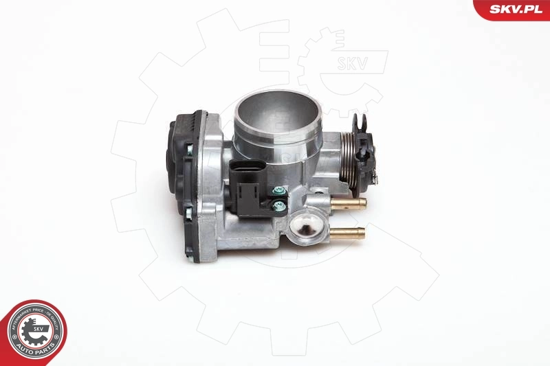 Throttle Body 12SKV010