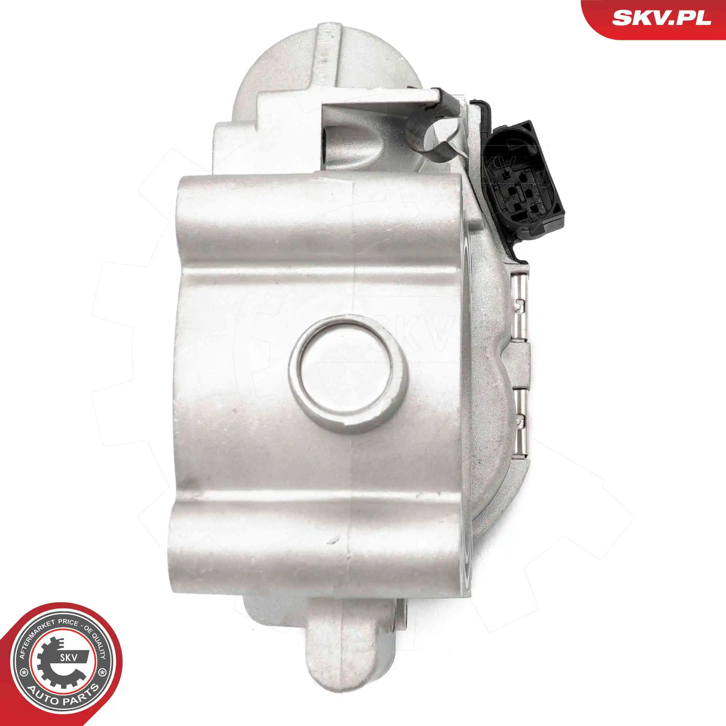 Throttle Body 12SKV141