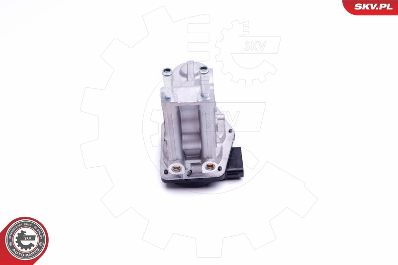 ESEN SKV 14SKV215 EGR Valve