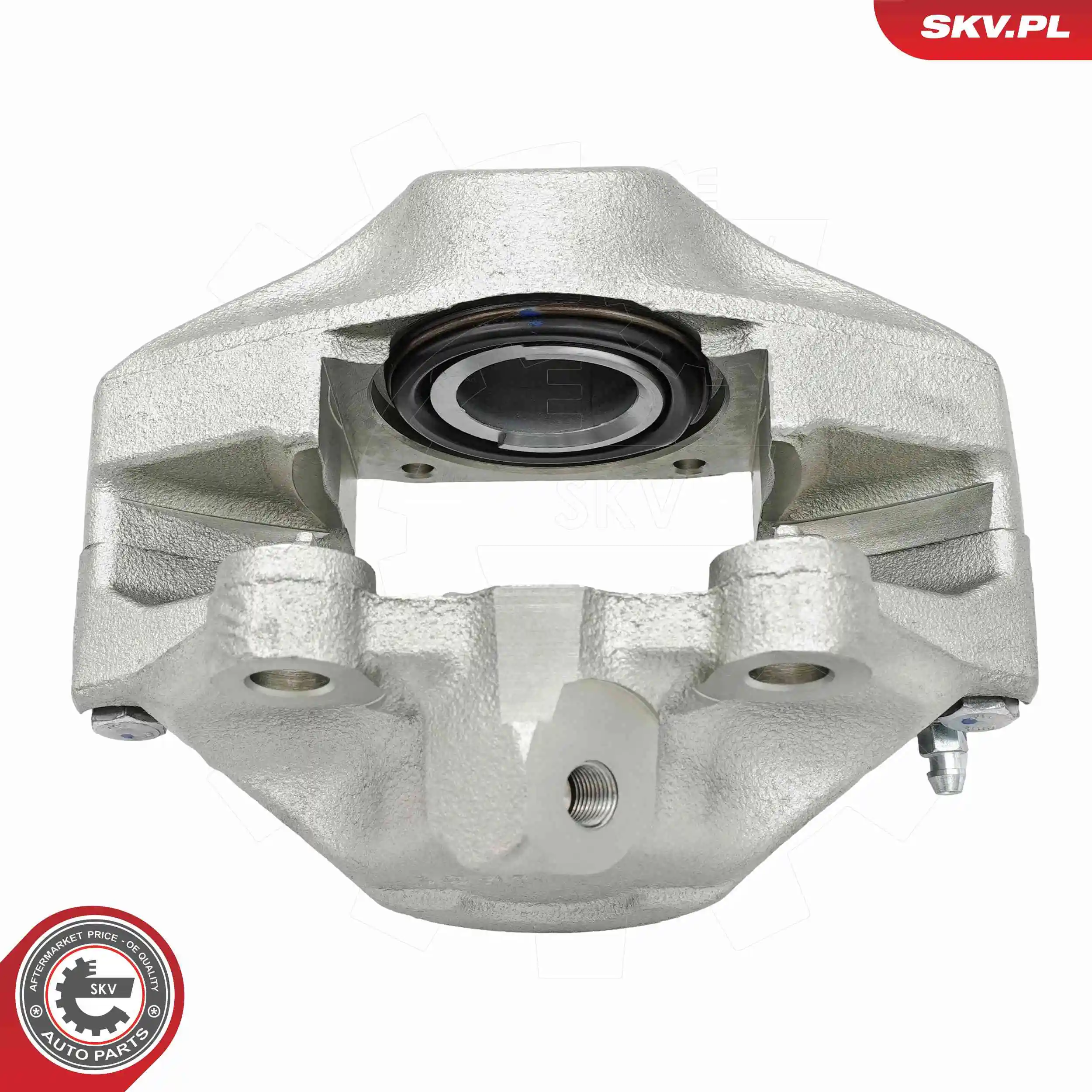 Brake Caliper 74SKV811