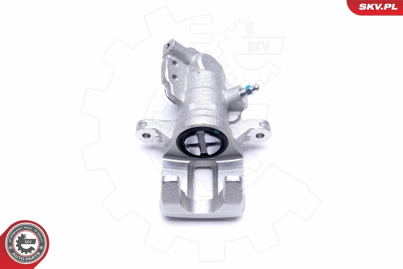 Brake Caliper 50SKV434