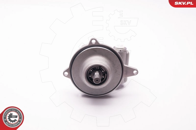 ESEN SKV 1SKV0007 Hydraulic Pump, steering