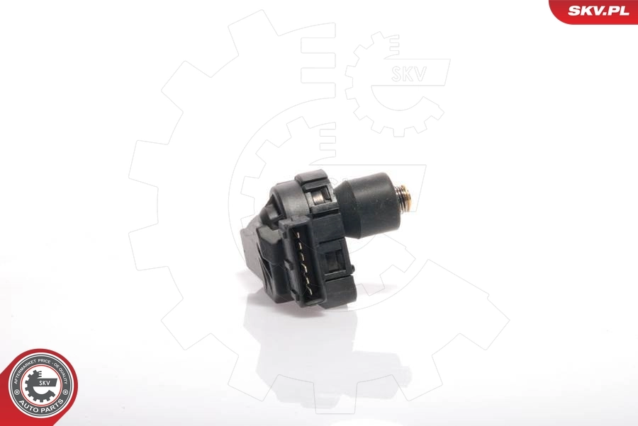 Idle Control Valve, air supply 08SKV201