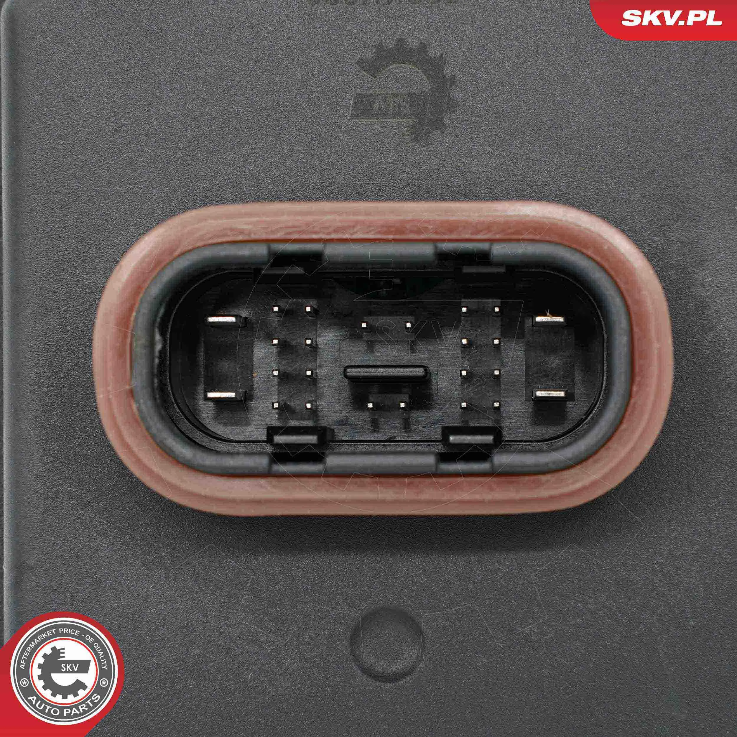 ESEN SKV 59SKV286 Control Unit, lights