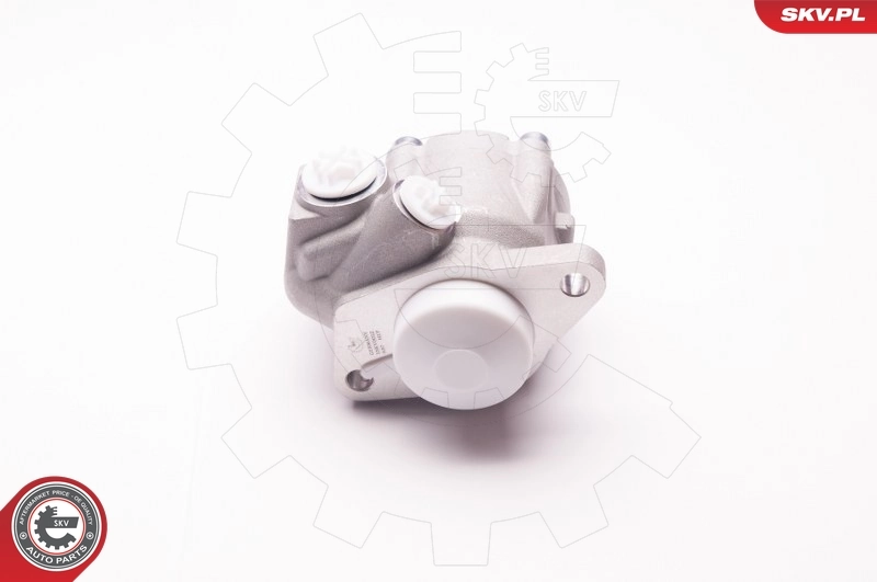 ESEN SKV 1SKV0012 Hydraulic Pump, steering
