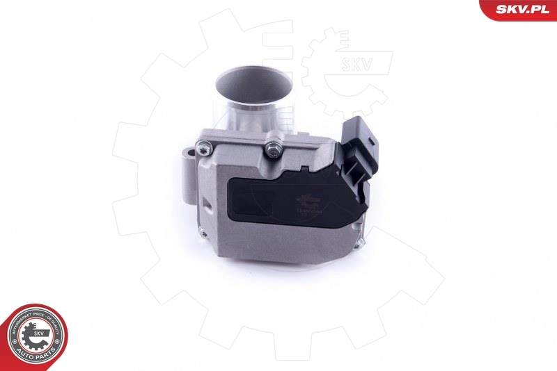 Throttle Body 12SKV090
