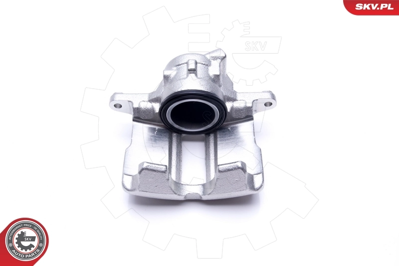 Brake Caliper 46SKV002