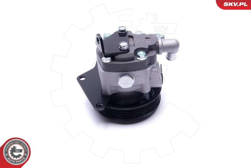 Hydraulic Pump, steering 10SKV294