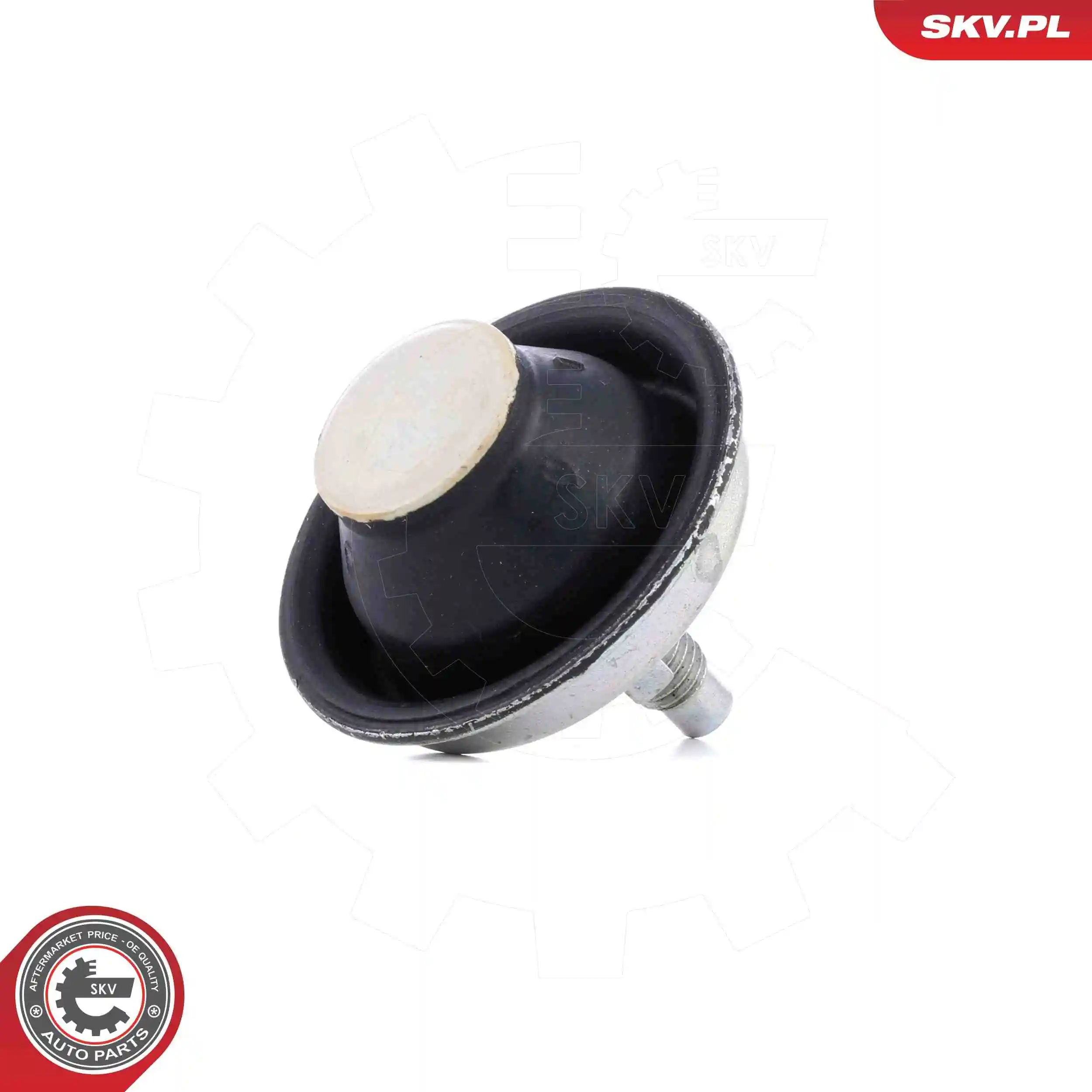 Mounting, engine 75SKV101