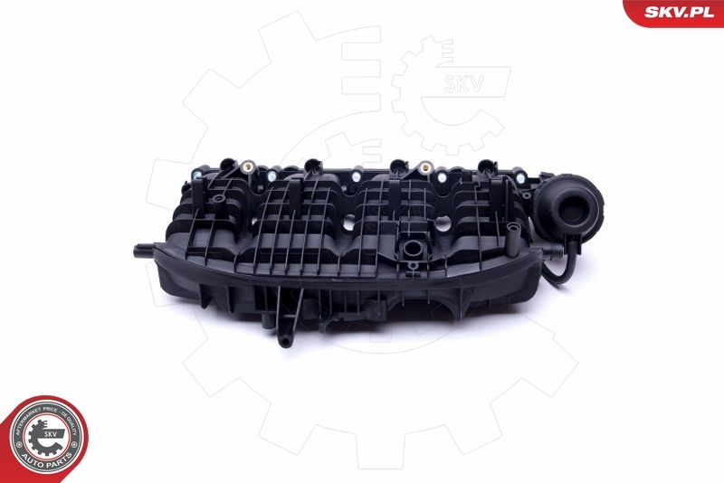 Intake Manifold Module 49SKV035