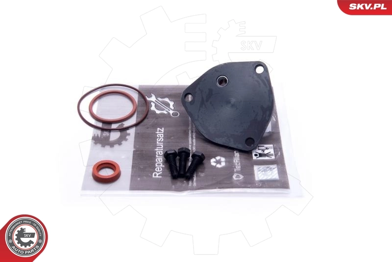 Repair Set, vacuum pump (braking system) 18SKV800