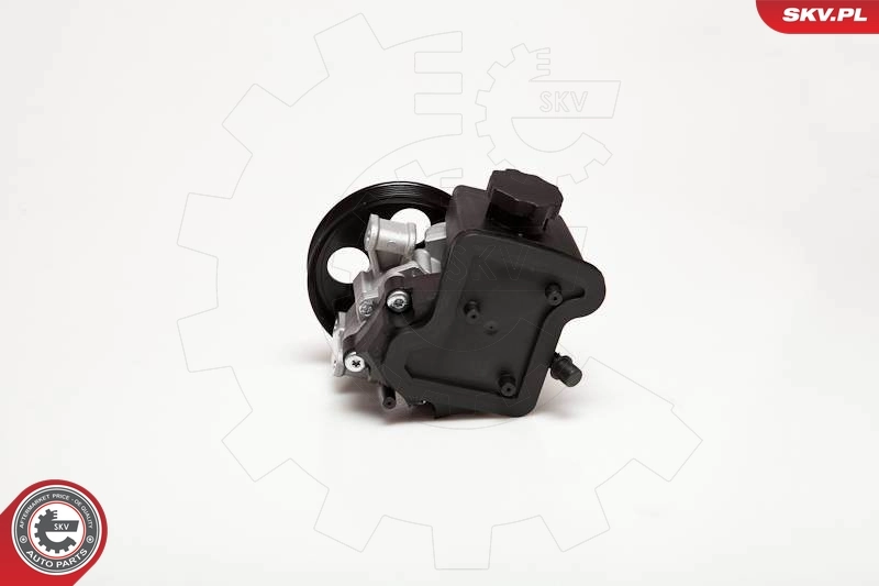 Hydraulic Pump, steering 10SKV029