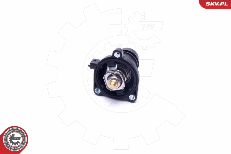 Thermostat, liquide de refroidissement 20SKV133