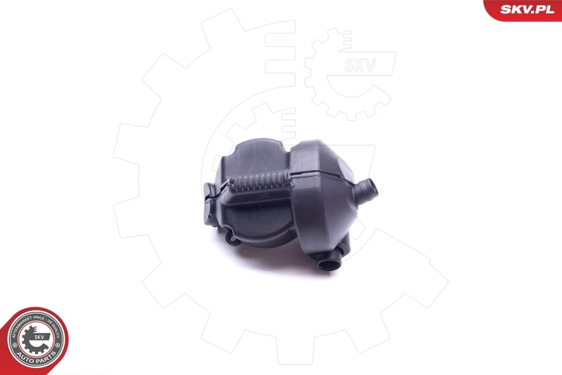 Oil Separator, crankcase ventilation 31SKV077