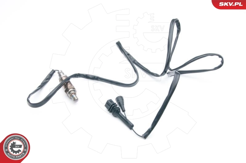 Oxygen Sensor 09SKV546