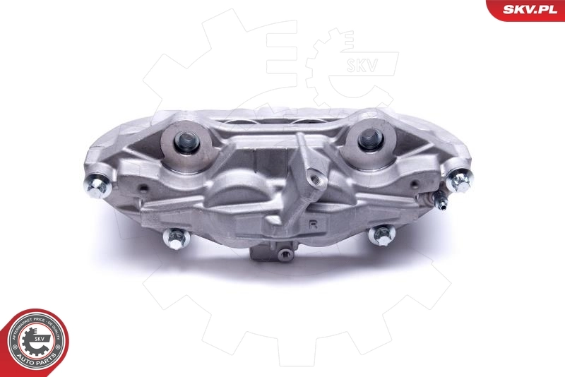 Brake Caliper 55SKV562