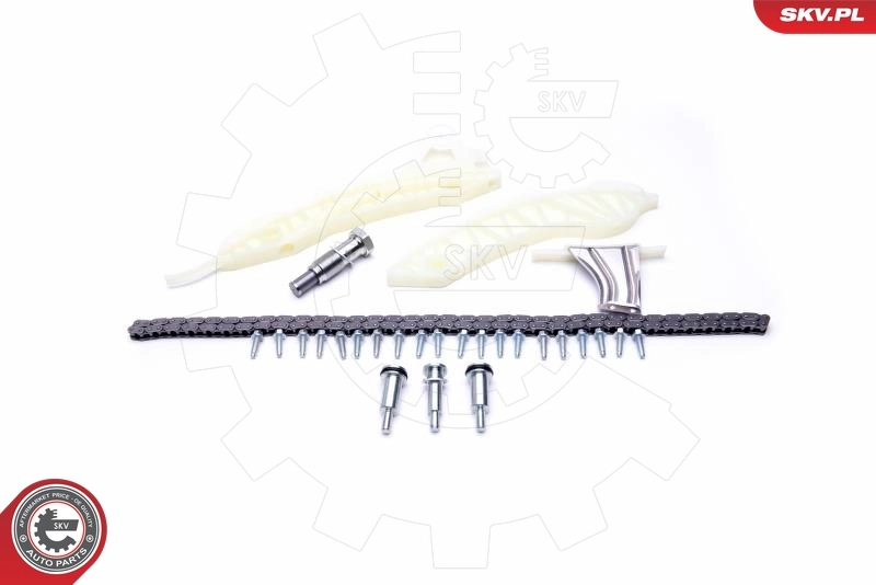 Timing Chain Kit 21SKV116