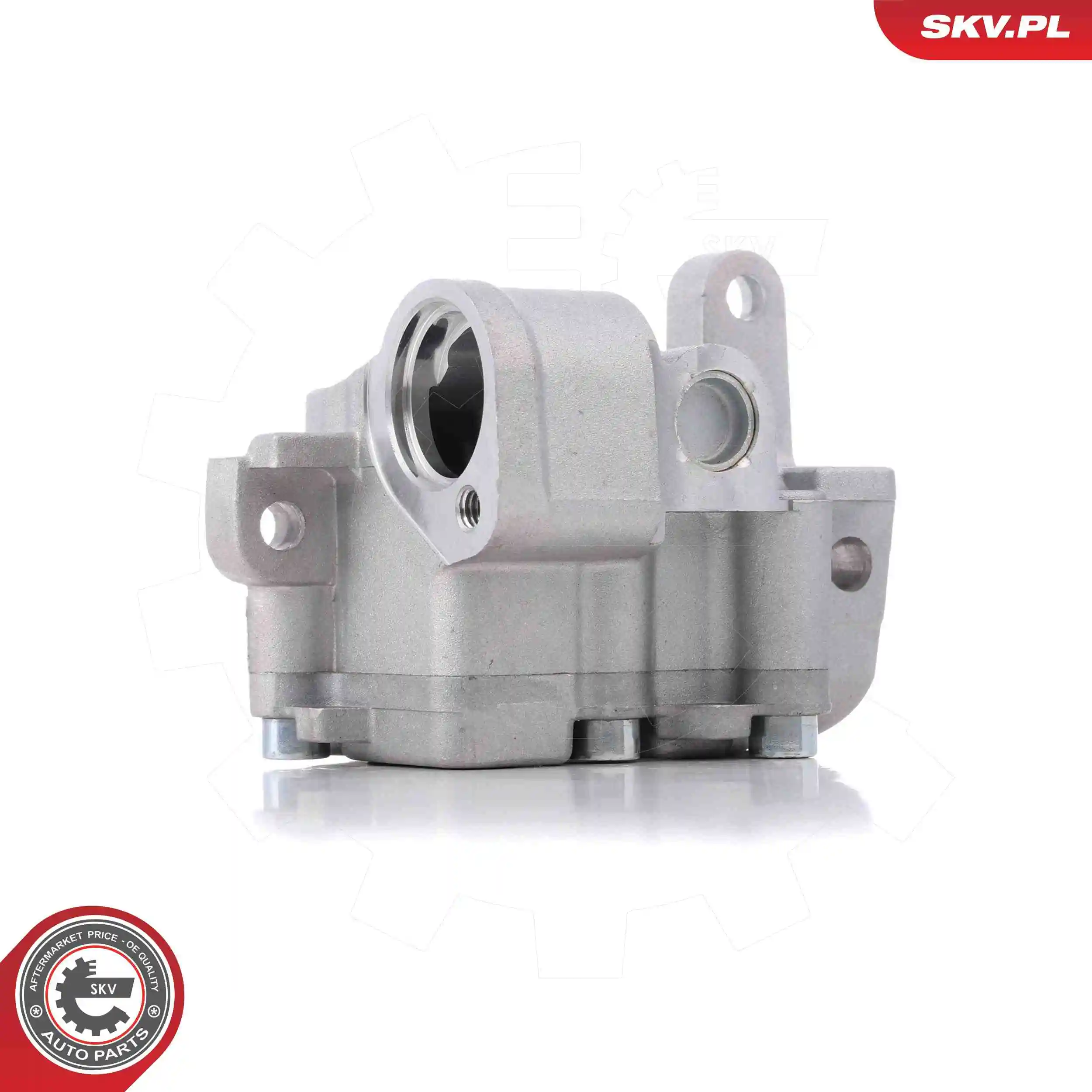 Oil Pump 77SKV005