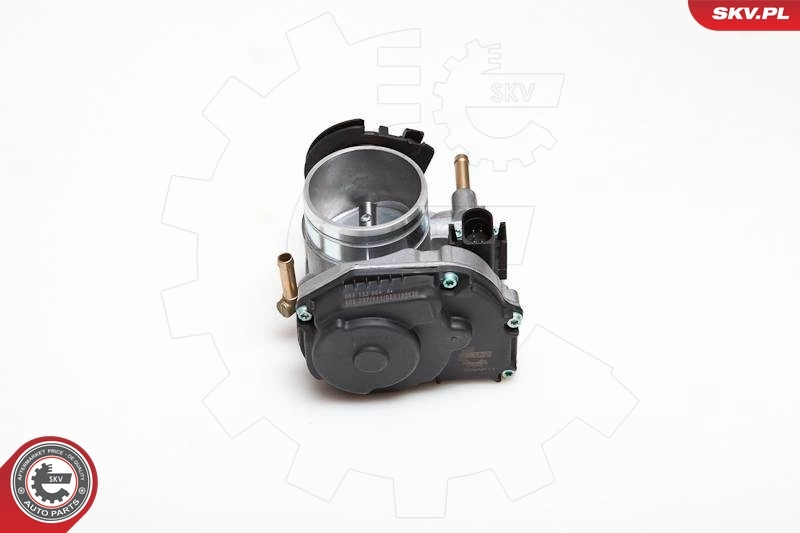 Throttle Body 12SKV009