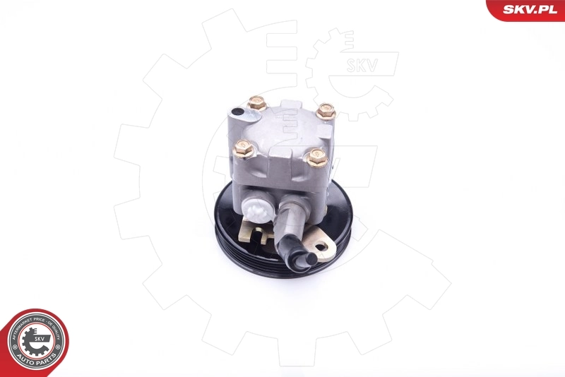 Hydraulic Pump, steering 10SKV276