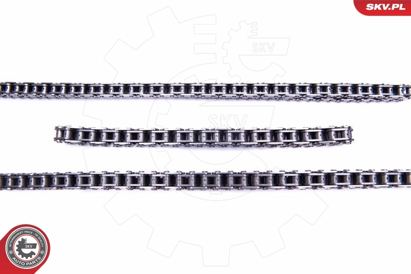 Timing Chain Kit 21SKV174