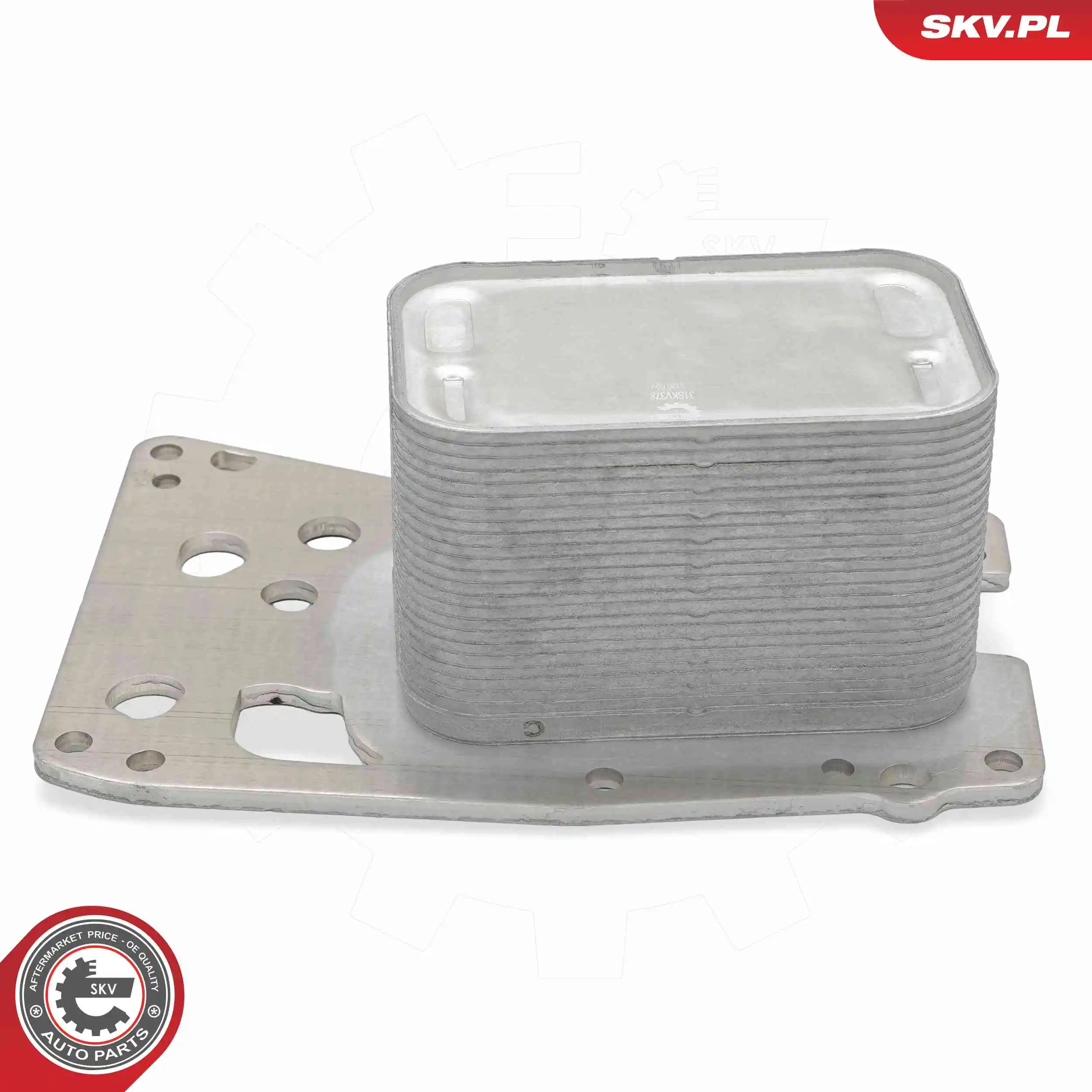 Oil Cooler, engine oil 31SKV378