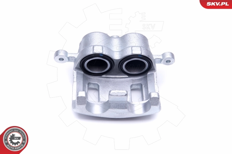 Brake Caliper 50SKV381