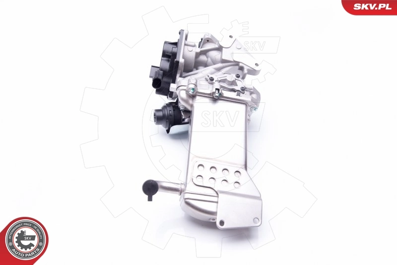 EGR Valve 14SKV152