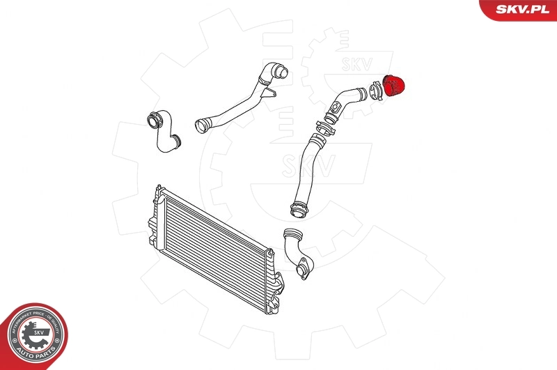 Charge Air Hose 24SKV821