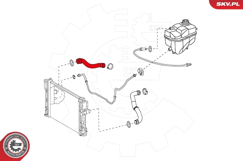 Radiator Hose 24SKV290