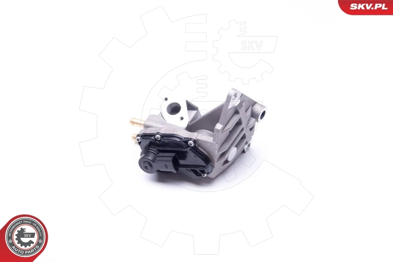 EGR Valve 14SKV087