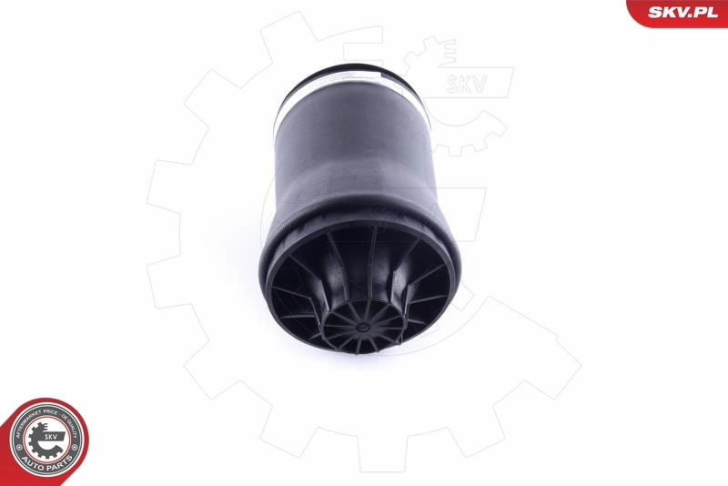 Air Spring, suspension 58SKV027