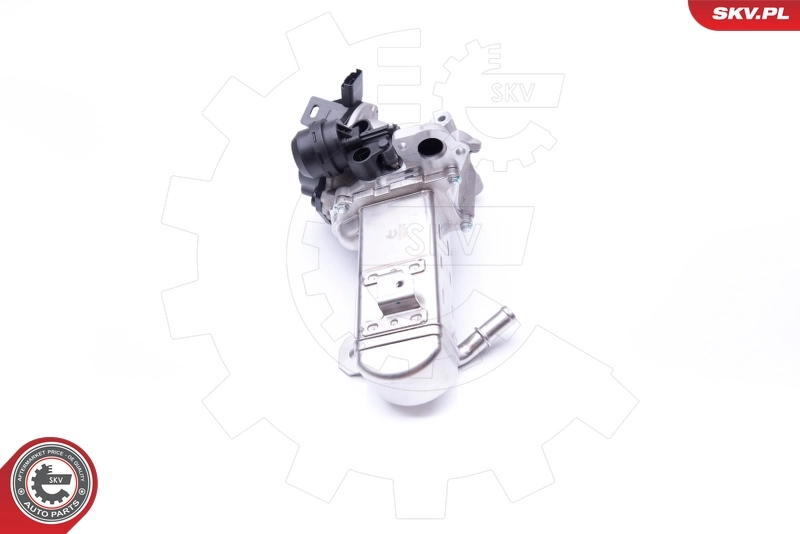 EGR Valve 14SKV157