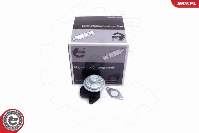 EGR Valve 14SKV205