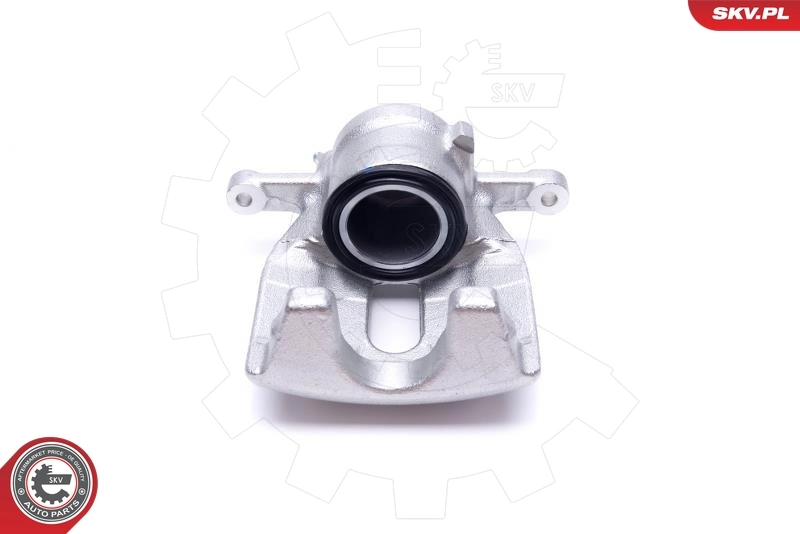 Brake Caliper 55SKV921