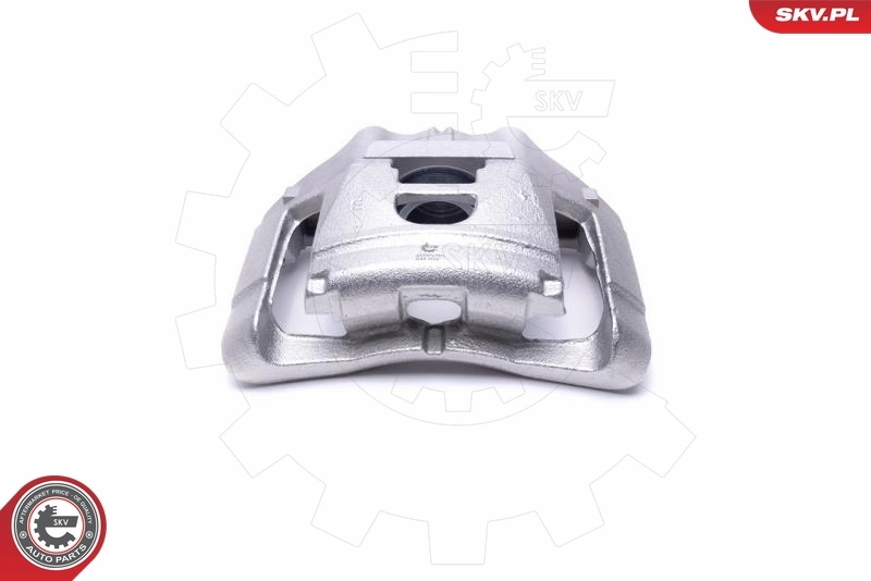 Brake Caliper 55SKV791