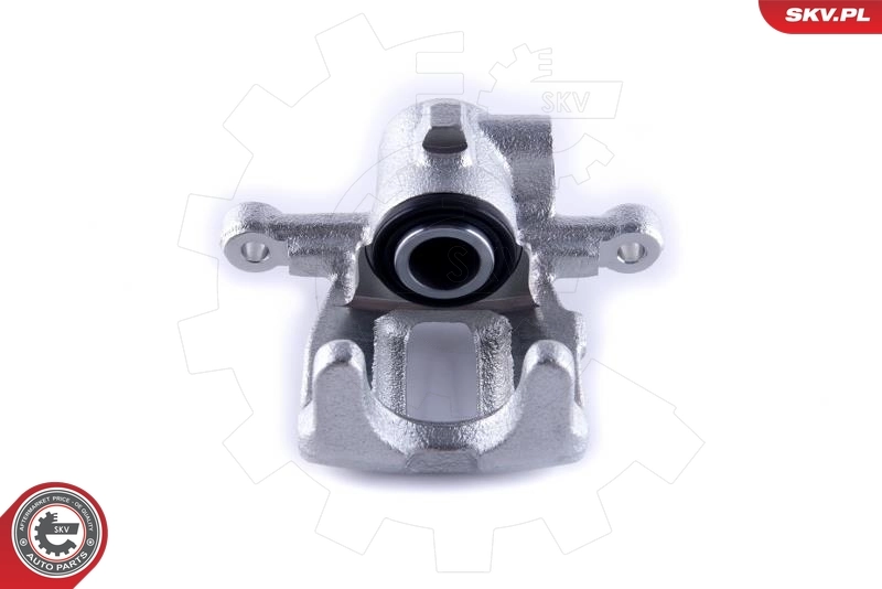 Brake Caliper 55SKV233