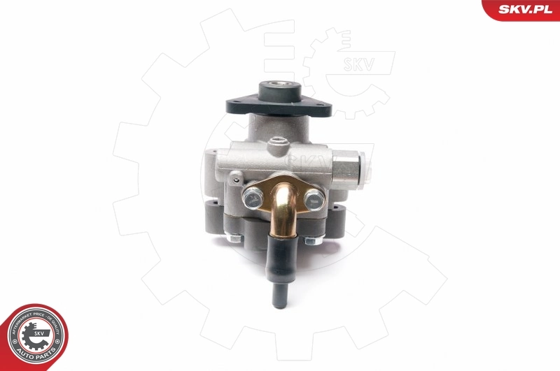 Hydraulic Pump, steering 10SKV227