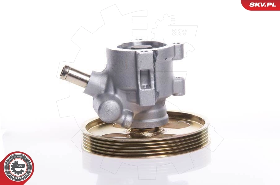 Hydraulic Pump, steering 10SKV119