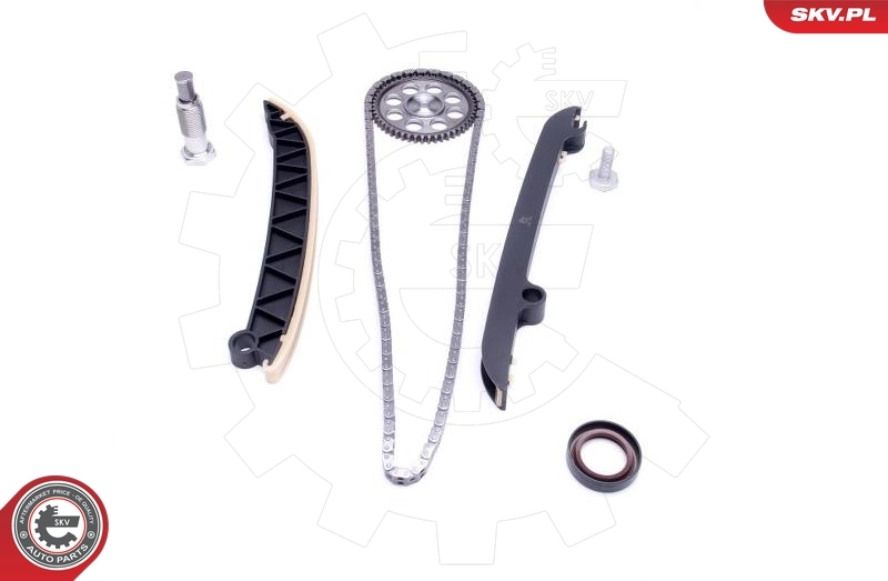Timing Chain Kit 21SKV153