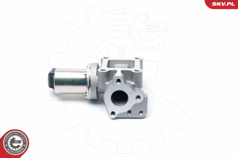 EGR Valve 14SKV099
