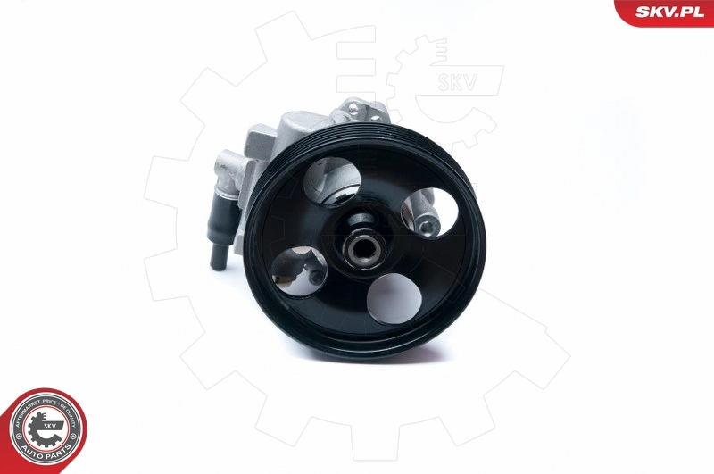 Hydraulic Pump, steering 10SKV073