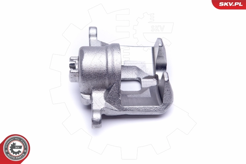 Brake Caliper 50SKV482