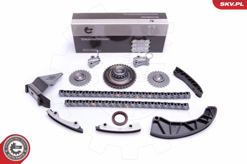 Timing Chain Kit 21SKV224
