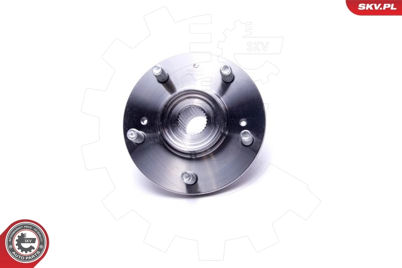 ESEN SKV 29SKV466 Wheel Bearing Kit