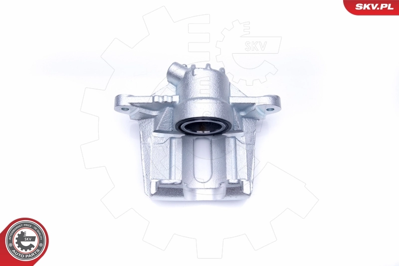 Brake Caliper 42SKV841